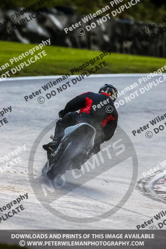 PJ Motorsport Photography 2020;anglesey;brands hatch;cadwell park;croft;donington park;enduro digital images;event digital images;eventdigitalimages;mallory;no limits;oulton park;peter wileman photography;racing digital images;silverstone;snetterton;trackday digital images;trackday photos;vmcc banbury run;welsh 2 day enduro